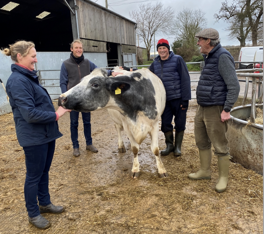 The Farm, Malmesbury Yeo Valley Regenerative Farming
